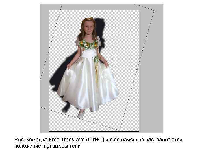 Рис. Команда Free Transform (Ctrl+T) и с ее помощью настраиваются положение и размеры тени