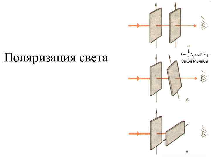 Поляризация света 