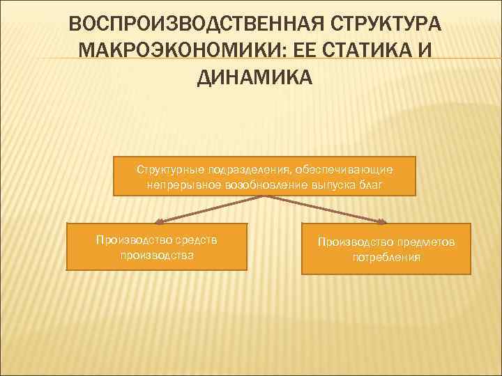 ВОСПРОИЗВОДСТВЕННАЯ СТРУКТУРА МАКРОЭКОНОМИКИ: ЕЕ СТАТИКА И ДИНАМИКА Структурные подразделения, обеспечивающие непрерывное возобновление выпуска благ