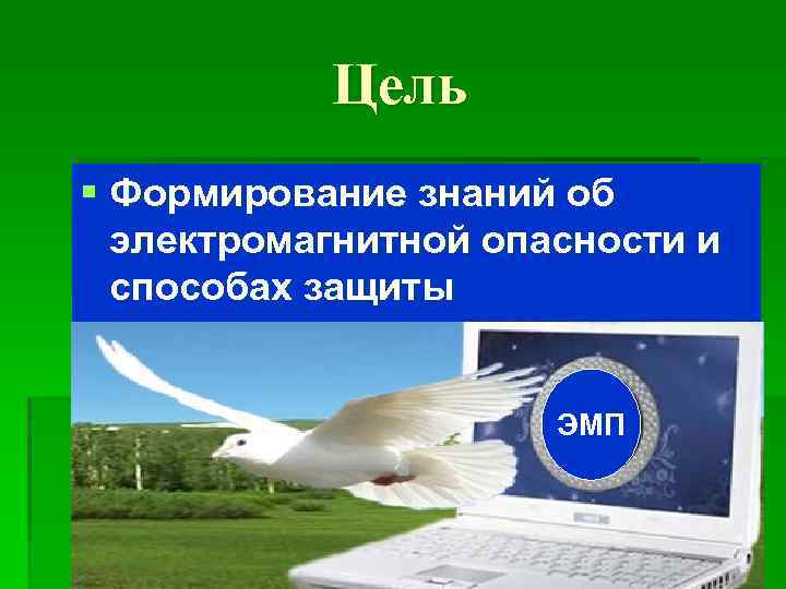 Цель § Формирование знаний об электромагнитной опасности и способах защиты ЭМП 