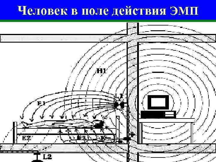 Человек в поле действия ЭМП 