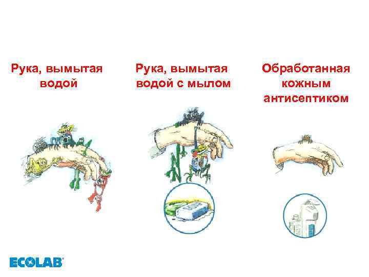 Рука, вымытая водой с мылом Обработанная кожным антисептиком 