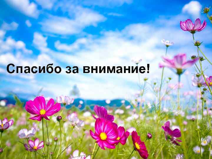 Спасибо за внимание! 