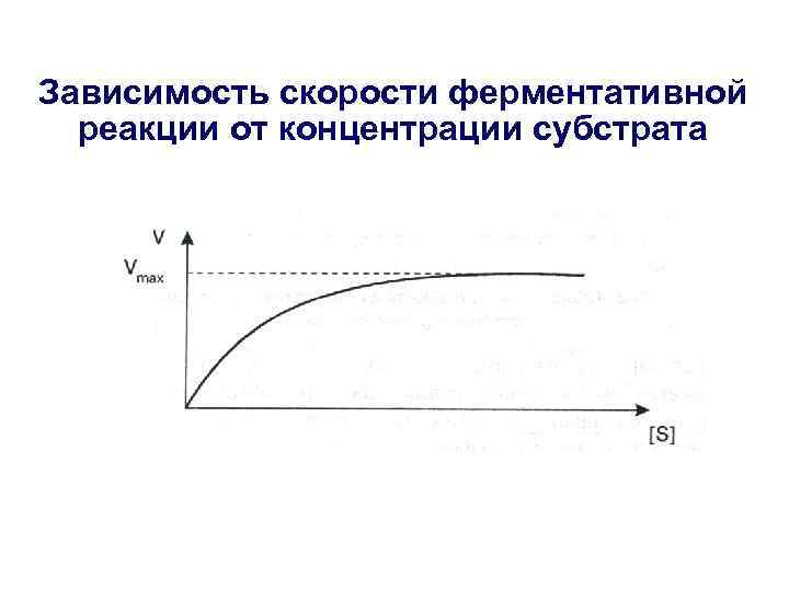 Зависимость скорости ферментативной реакции от концентрации субстрата 