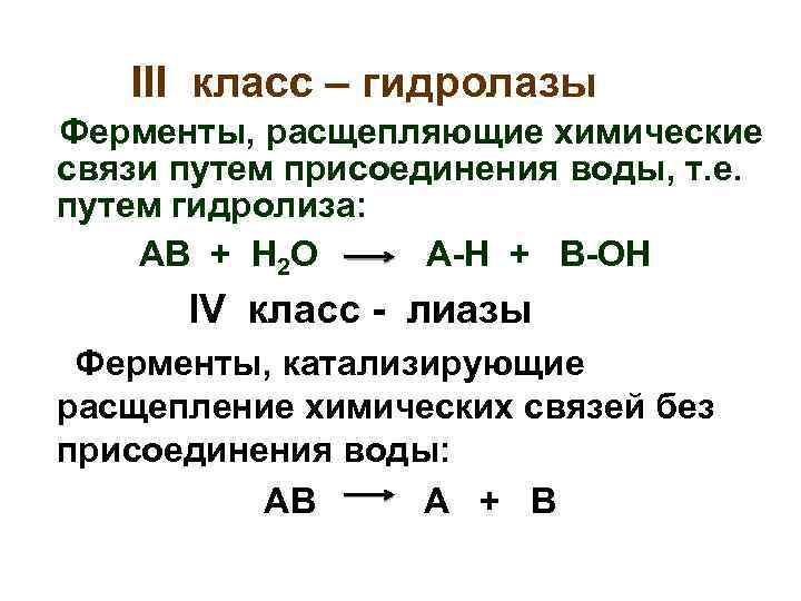  III класс – гидролазы Ферменты, расщепляющие химические связи путем присоединения воды, т. е.