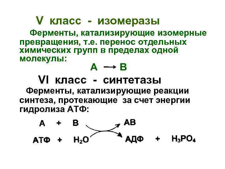 V класс - изомеразы Ферменты, катализирующие изомерные превращения, т. е. перенос отдельных химических групп