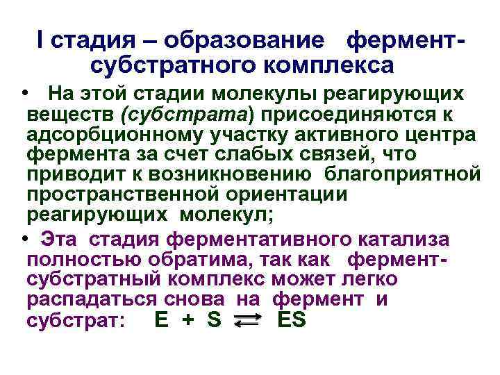 I стадия – образование ферментсубстратного комплекса • На этой стадии молекулы реагирующих веществ (субстрата)