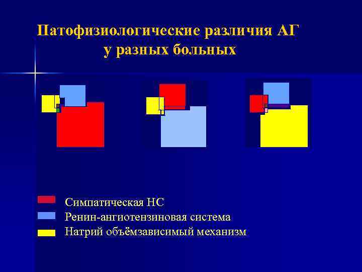 Патофизиологические различия АГ у разных больных Симпатическая НС Ренин-ангиотензиновая система Натрий объёмзависимый механизм 