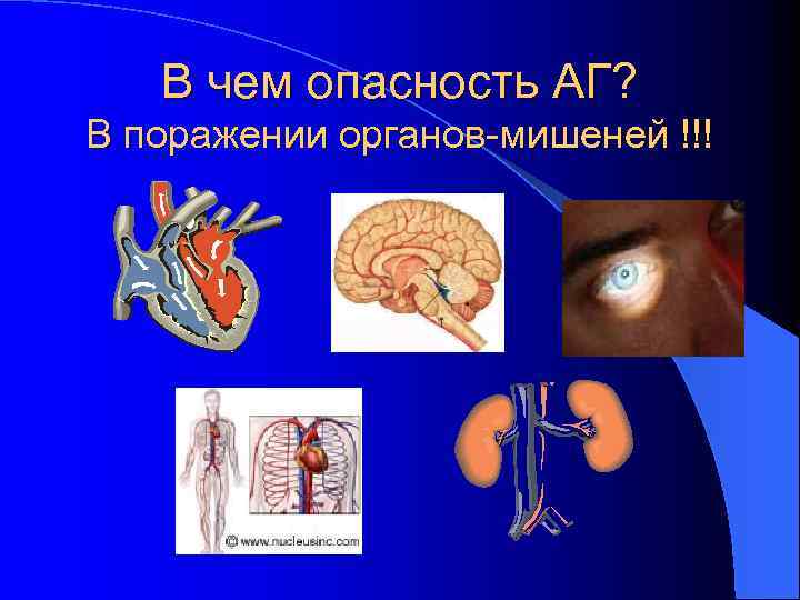 В чем опасность АГ? В поражении органов-мишеней !!! 