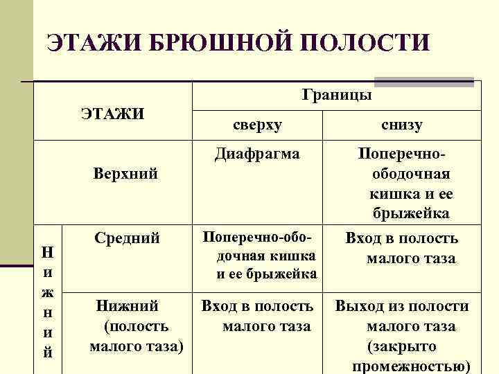 ЭТАЖИ БРЮШНОЙ ПОЛОСТИ Границы ЭТАЖИ сверху снизу Диафрагма Поперечноободочная кишка и ее брыжейка Поперечно-ободочная