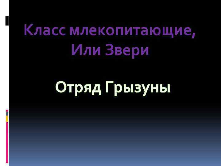 Класс млекопитающие, Или Звери Отряд Грызуны 