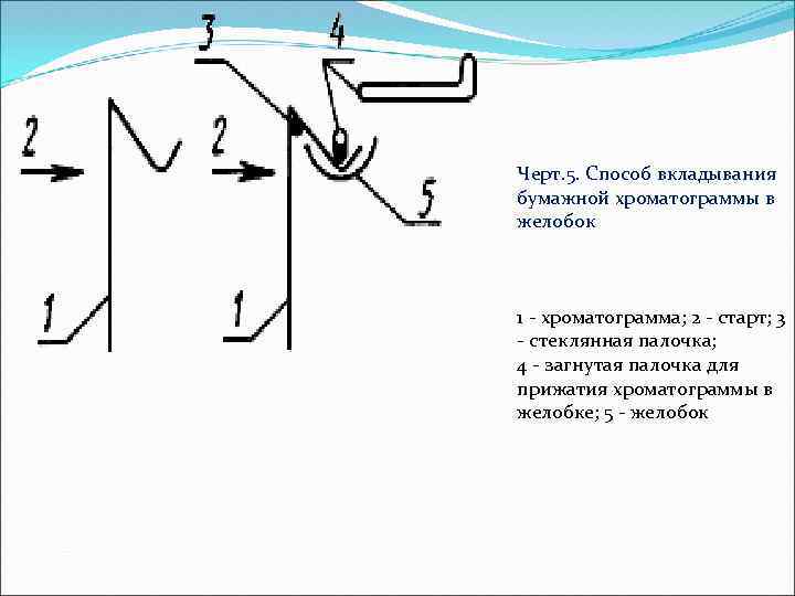 Черт. 5. Способ вкладывания бумажной хроматограммы в желобок 1 хроматограмма; 2 старт; 3 стеклянная