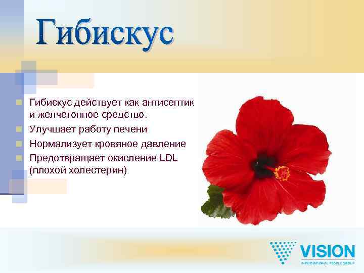 n Гибискус действует как антисептик и желчегонное средство. n Улучшает работу печени n Нормализует