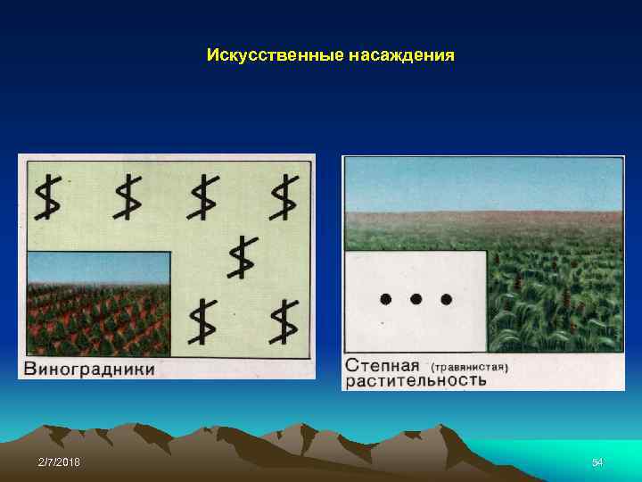 Искусственные насаждения 2/7/2018 54 