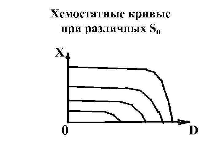 Хемостатные кривые при различных S 0 X 0 D 