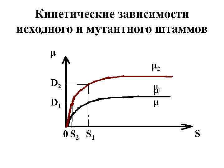 Кинетические зависимости исходного и мутантного штаммов μ μ 2 D 2 μ 1 μ