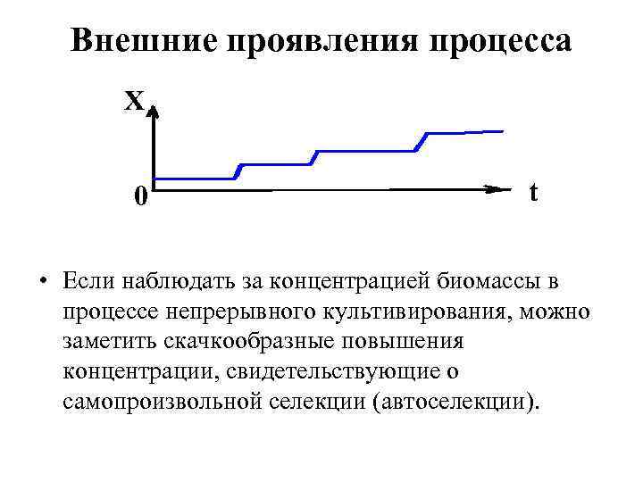 Внешние проявления процесса автоселекции X 0 t • Если наблюдать за концентрацией биомассы в