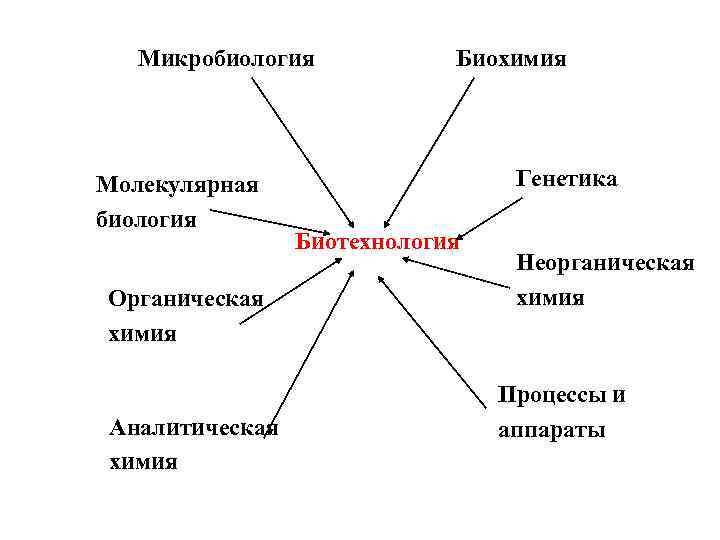 Микробиология Молекулярная биология Органическая химия Аналитическая химия Биохимия Генетика Биотехнология Неорганическая химия Процессы и