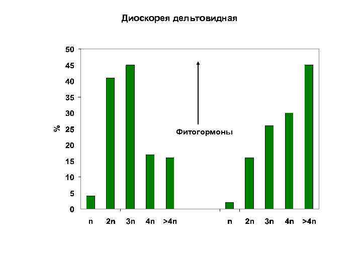 Диоскорея дельтовидная Фитогормоны 