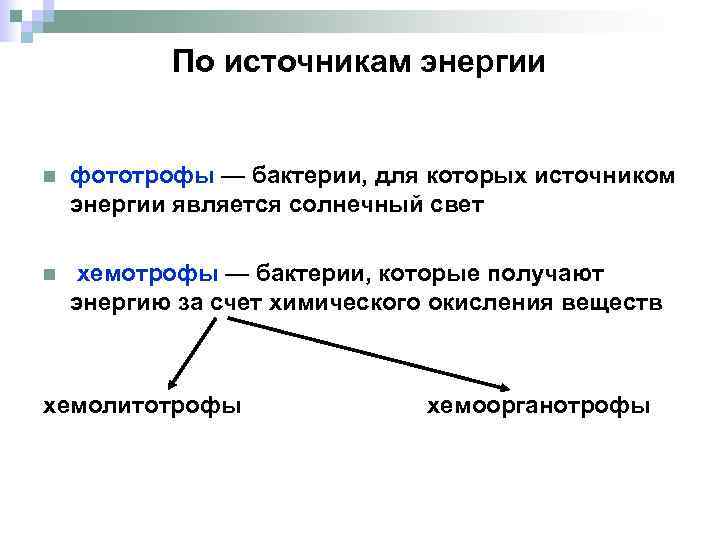 По источникам энергии n фототрофы — бактерии, для которых источником энергии является солнечный свет