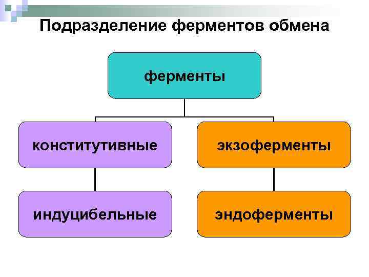 Обмен ферментов