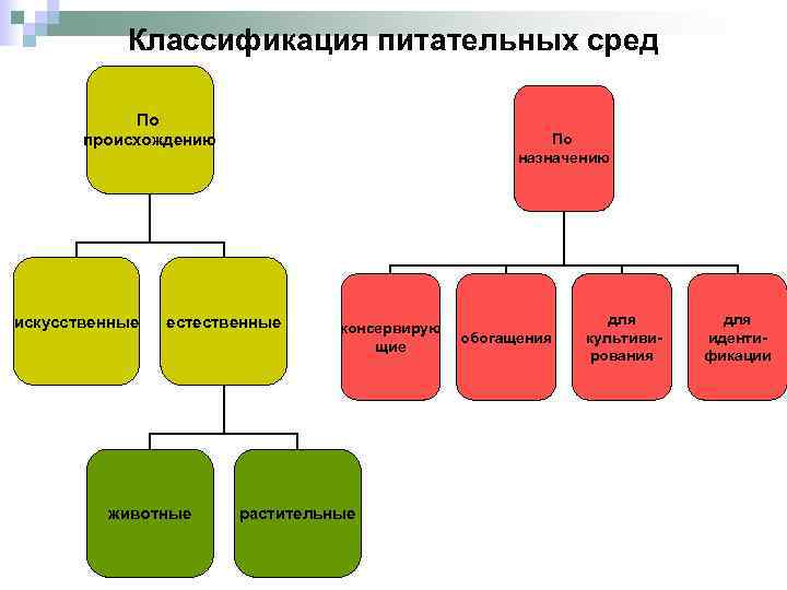 Классификация питательных сред По происхождению искусственные По назначению естественные животные консервирую щие растительные обогащения