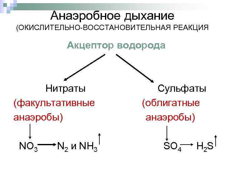 Анаэробная дизентерия ягнят презентация