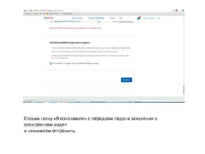 Ставим галку «Я ознакомлен с порядком подачи заявления в электронном виде» и нажимаем отправить.