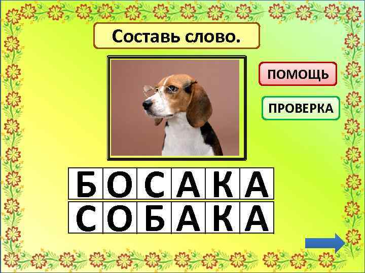 Какое слово собака