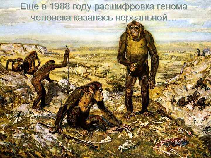 Еще в 1988 году расшифровка генома человека казалась нереальной… 