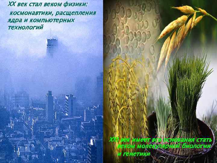 XX век стал веком физики: космонавтики, расщепления ядра и компьютерных технологий XXI век имеет