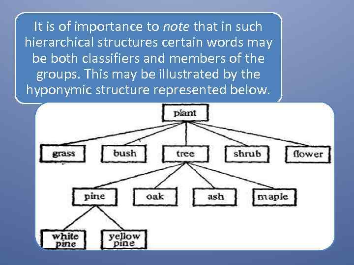 It is of importance to note that in such hierarchical structures certain words may