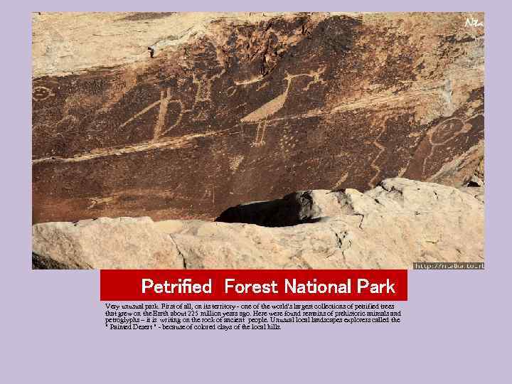 Petrified Forest National Park Very unusual park. First of all, on its territory -
