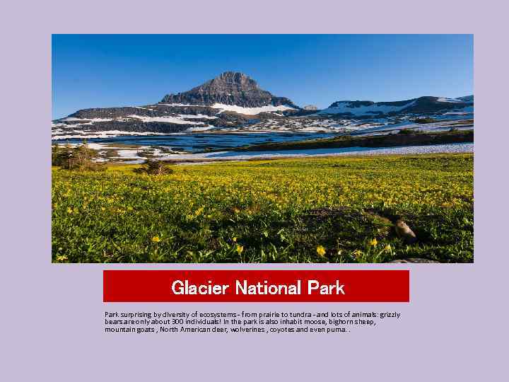 Glacier National Park surprising by diversity of ecosystems - from prairie to tundra -