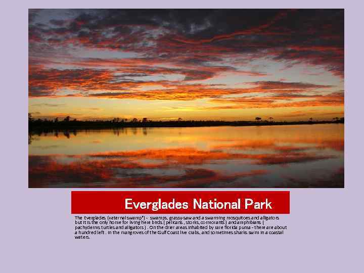 Everglades National Park The Everglades ( «eternal swamp