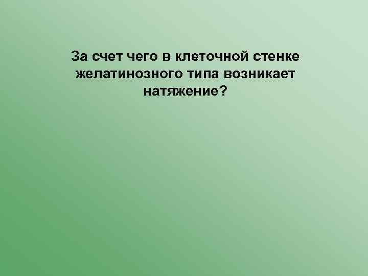 За счет чего в клеточной стенке желатинозного типа возникает натяжение? 