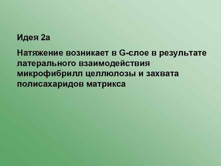 Идея 2 а Натяжение возникает в G-слое в результате латерального взаимодействия микрофибрилл целлюлозы и