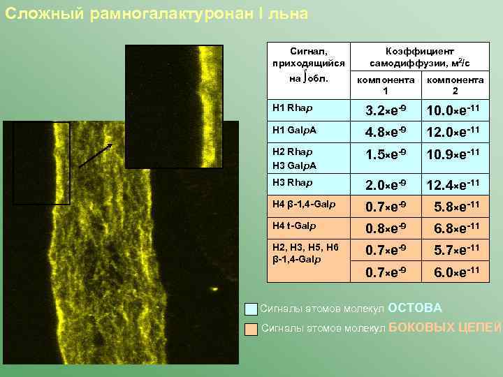 Сложный рамногалактуронан I льна Сигнал, приходящийся на ∫обл. Коэффициент самодиффузии, м 2/с компонента 1