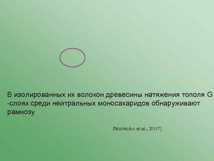 В изолированных их волокон древесины натяжения тополя G -слоях среди нейтральных моносахаридов обнаруживают рамнозу