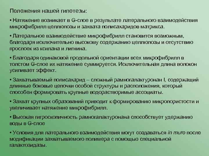 Положения нашей гипотезы: • Натяжение возникает в G-слое в результате латерального взаимодействия микрофибрилл целлюлозы
