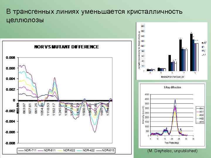 В трансгенных линиях уменьшается кристалличность целлюлозы (M. Deyholos, unpublished) 