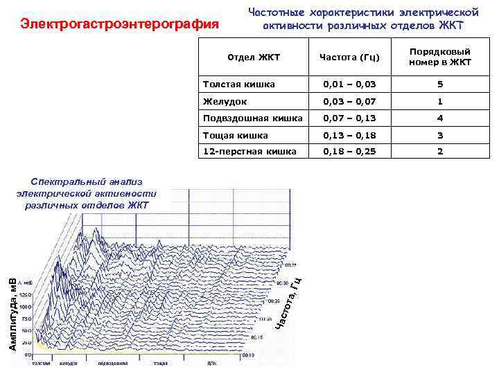 Частотные характеристики электрической активности различных отделов ЖКТ Электрогастроэнтерография Частота (Гц) Порядковый номер в ЖКТ
