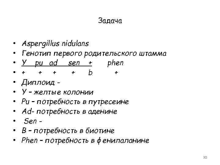 Задача • • • Aspergillus nidulans Генотип первого родительского штамма Y pu ad sen