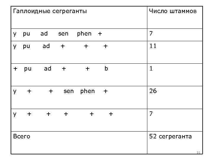 Гаплоидные сегреганты y pu ad + + + 11 + pu ad + +