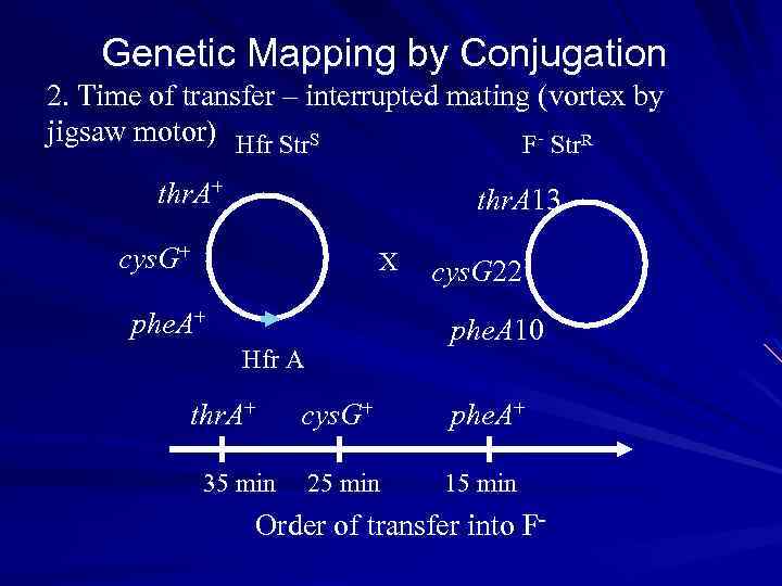 Genetic Mapping by Conjugation 2. Time of transfer – interrupted mating (vortex by jigsaw