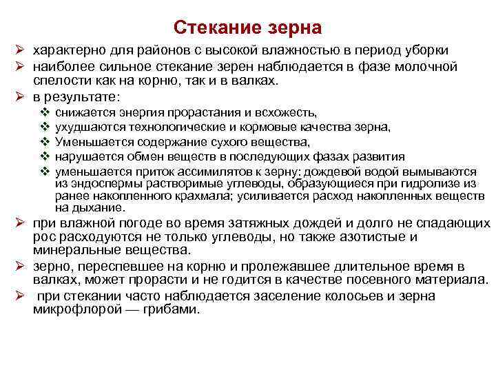 Стекание зерна Ø характерно для районов с высокой влажностью в период уборки Ø наиболее