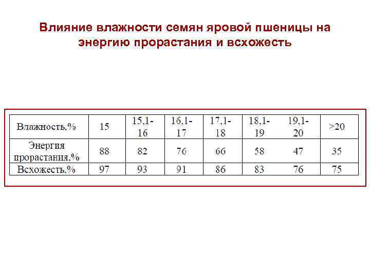 Влияние влажности семян яровой пшеницы на энергию прорастания и всхожесть 