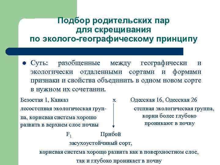 Подбор родительских форм. Подбор родительских пар для скрещивания. Метод подбора родительских пар для скрещивания. Примеры подбора родительских пар. Принцип подбора родительских пар.