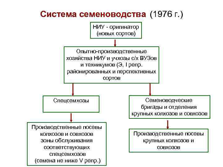 Схема первичного семеноводства