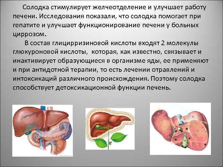  Солодка стимулирует желчеотделение и улучшает работу печени. Исследования показали, что солодка помогает при